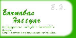 barnabas hattyar business card